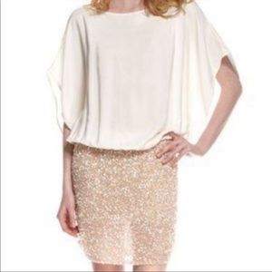 BNWT Parker silk and beaded cream batwing small dress
